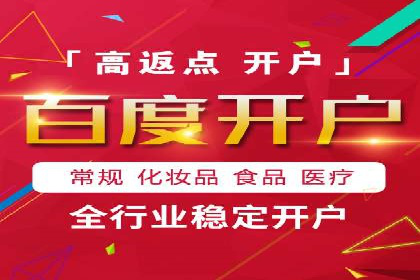 百度竞价赚钱的技巧与成功案例探讨